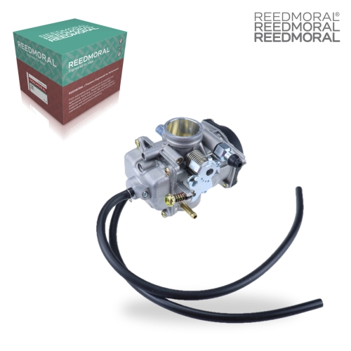 LDH985 REEDMORAL Carburetor Assembly E01010070 main view