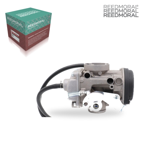LDH988 REEDMORAL Carburetor Assembly RT250 main view