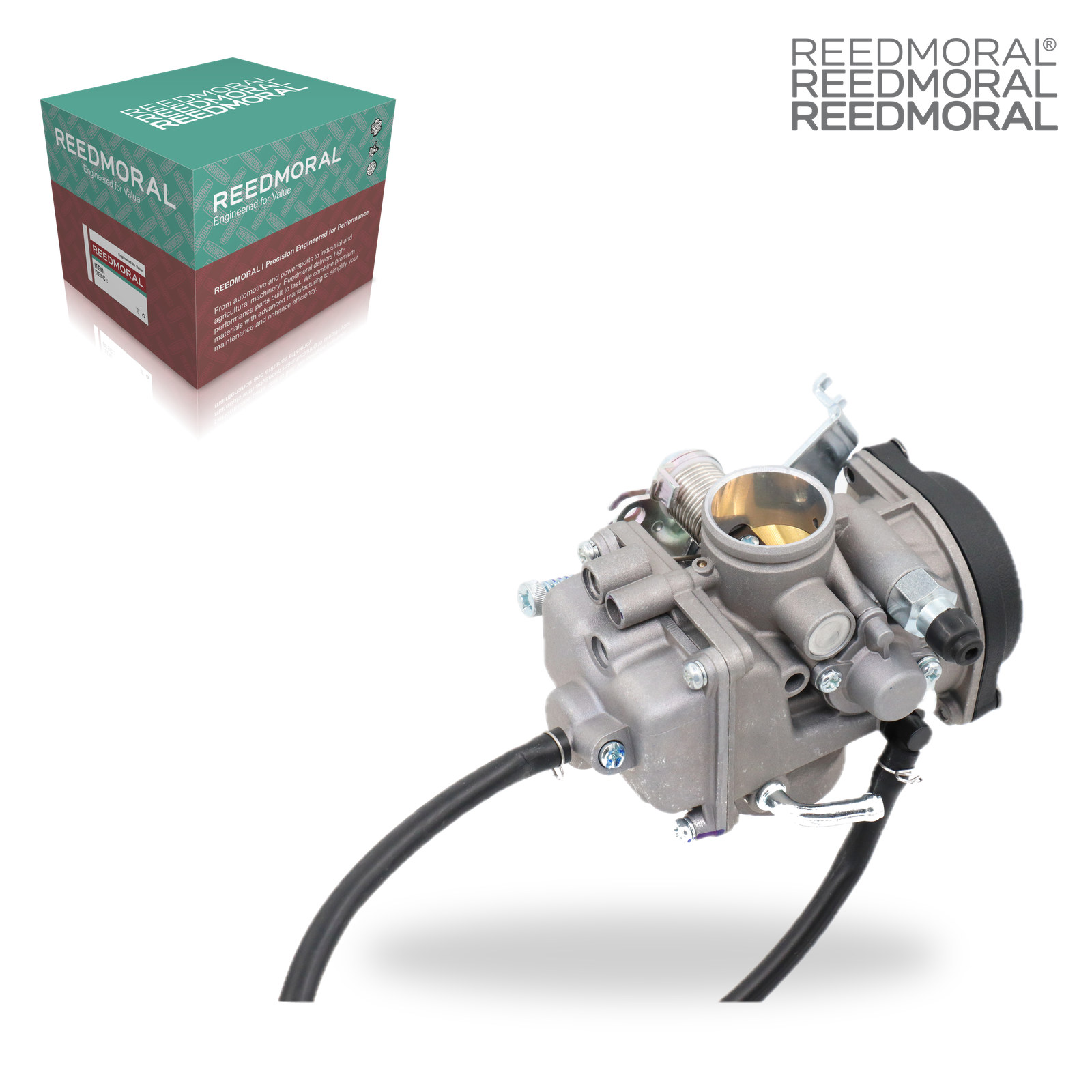 LDH988 REEDMORAL Carburetor Assembly RT250 detail view 7