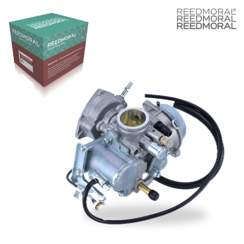 LDH995 REEDMORAL Carburetor Assembly LT-F250 main view