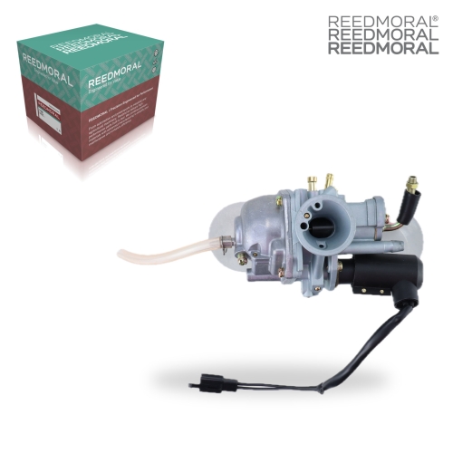 LDH996 REEDMORAL Carburetor Assembly RLX100 detail view 2