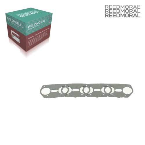 LG250TZ REEDMORAL replacement part with red green packaging detail view 2