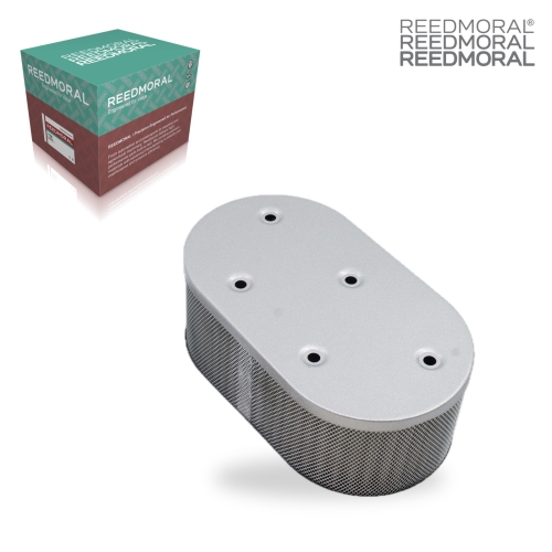 LQQ261 REEDMORAL Automotive Replacement Part 616 main view