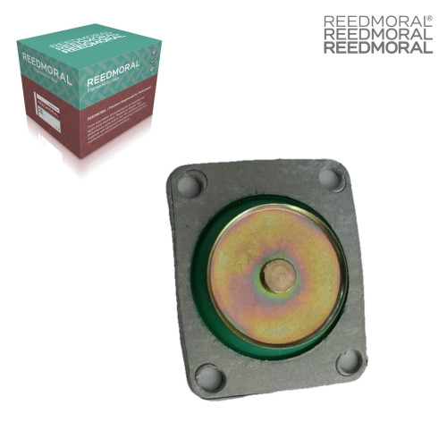 MP406 REEDMORAL replacement part with red green packaging main view