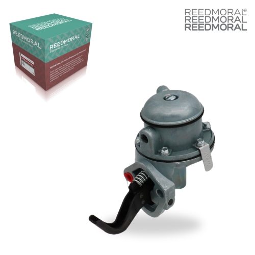 Q2201 REEDMORAL Fuel Pump Assembly 74058966 main view