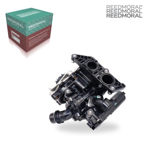 SB004 REEDMORAL replacement product main view