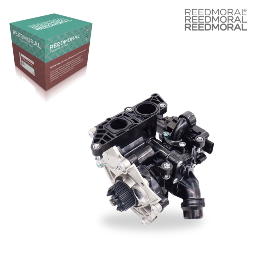 SB004 REEDMORAL replacement product detail view 2