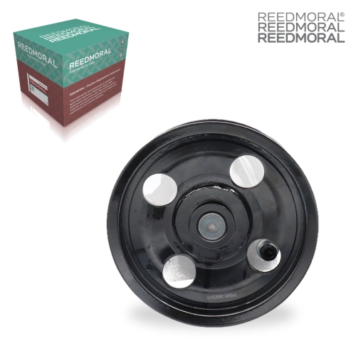 SB006 REEDMORAL Engine Water Pump 46338231 main view