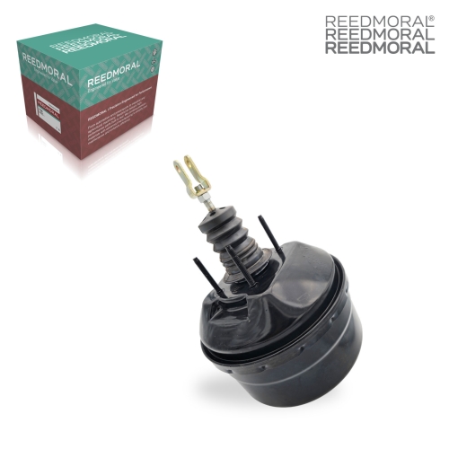 SCZLQ002 REEDMORAL replacement product main view
