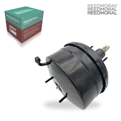 SCZLQ002 REEDMORAL replacement product detail view 2