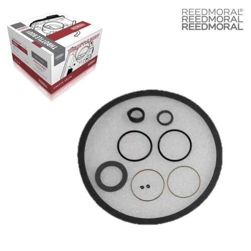 XLH1109 REEDMORAL TBI Seal and Gasket Repair Kit 1704 TBI Kit main view