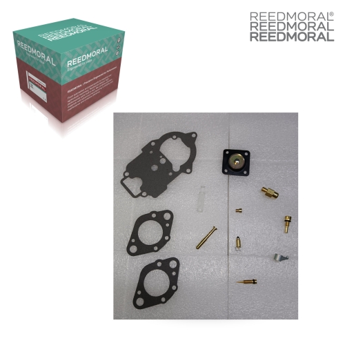 XLH113-1 REEDMORAL Carburetor Repair Kit XLH113-1 main view