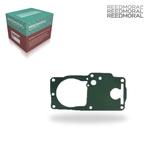 XLH119 REEDMORAL Carburetor Repair Kit XLH119 main view