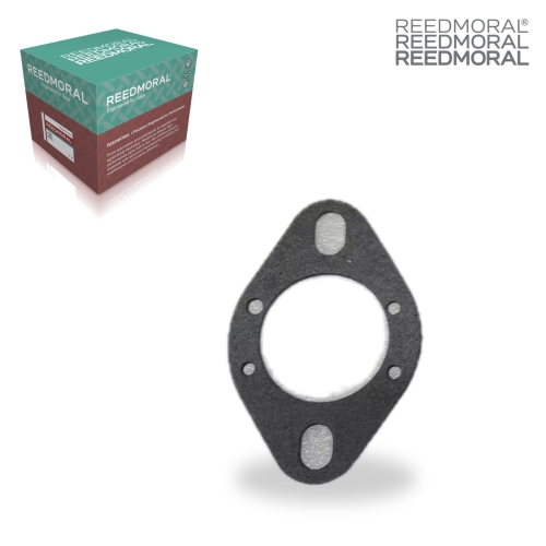 XLH152-1 REEDMORAL Carburetor Repair Kit 10313-5386 main view