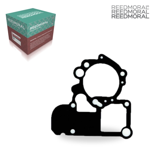 XLH156A REEDMORAL Carburetor Repair Kit XLH156A detail view 2