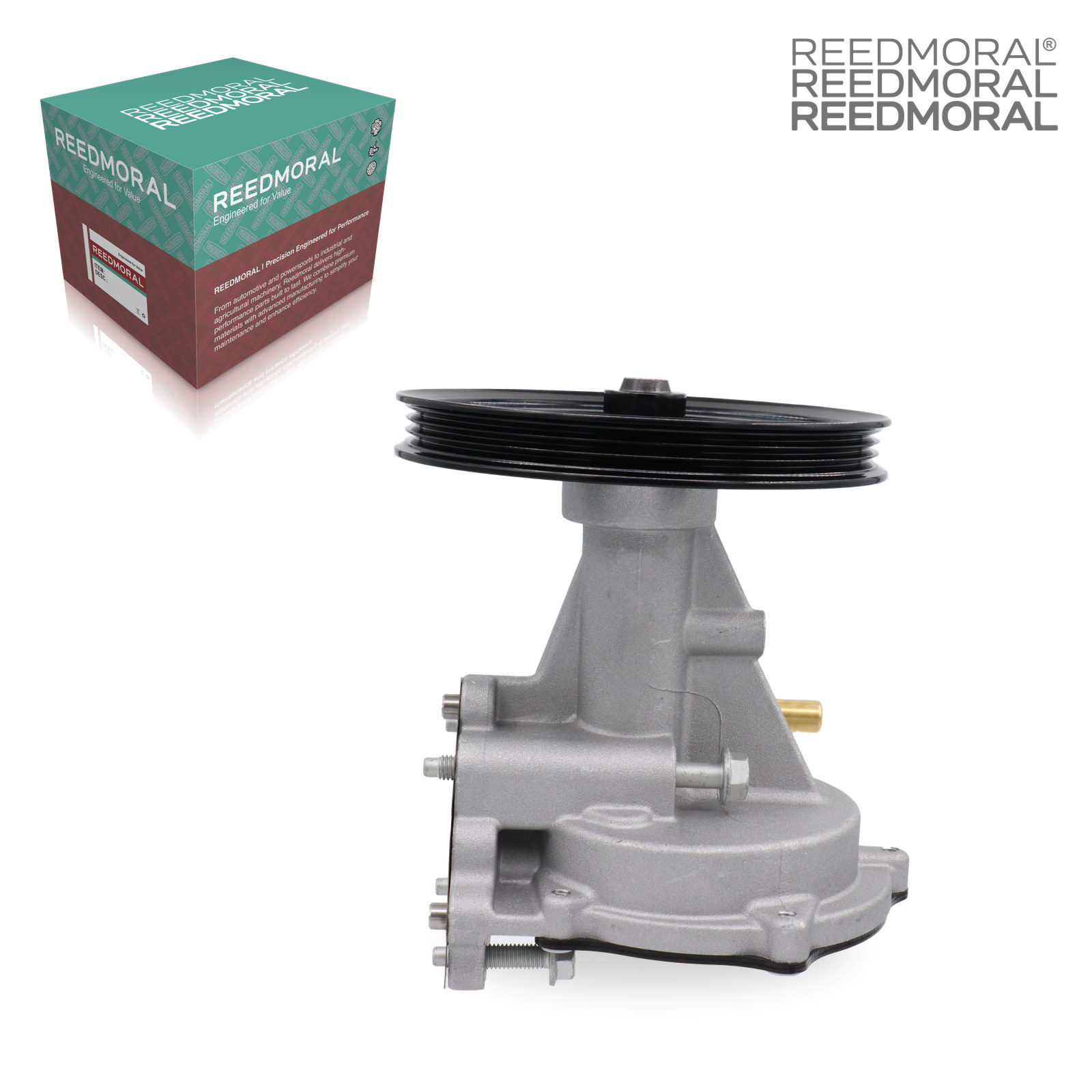 ZKB002 REEDMORAL Brake Vacuum Pump 12669488 detail view 6