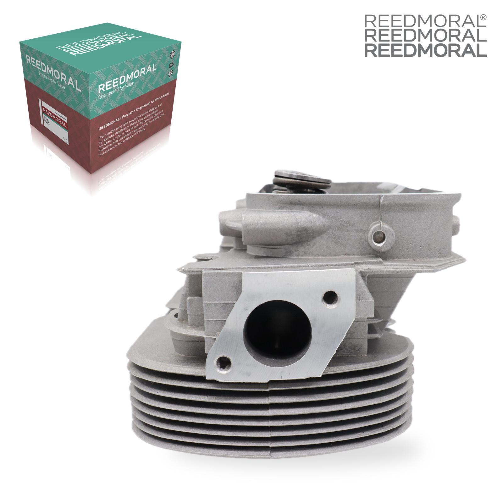 CH108 REEDMORAL complete dual-port cylinder head 043101355UC left side port view with REEDMORAL packaging