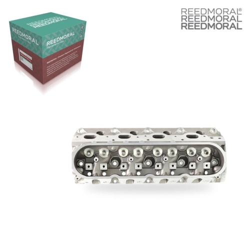 CH18026A REEDMORAL Cylinder Head Assembly 12564243 main view
