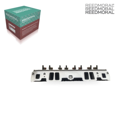 CH18027A REEDMORAL Cylinder Head Assembly 12558060 main view