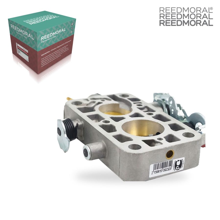 H203A-3000-00 REEDMORAL Carburetor Assembly 2105-1107020-20 main view