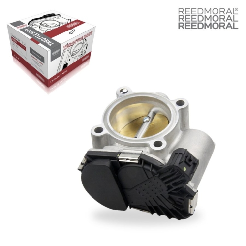 J1213 REEDMORAL Electronic Throttle Body Assembly 0280750496 55565260 0825019 0280750497 main view