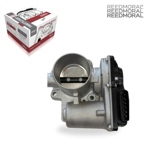 J1227 REEDMORAL Electronic Throttle Body Assembly 96990270 main view