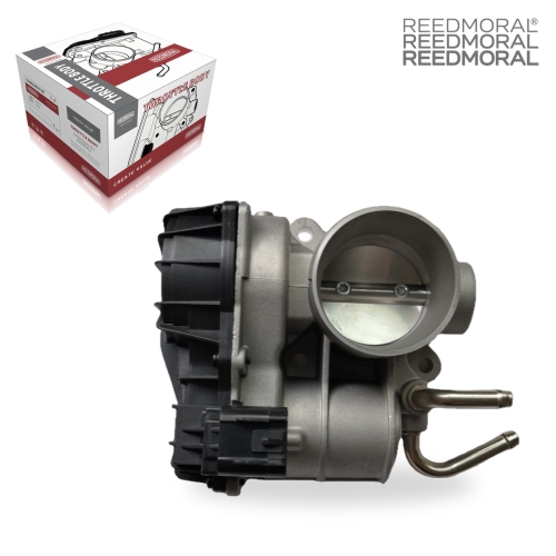 J1375 REEDMORAL Electronic Throttle Body Assembly 1042200GG01C main view