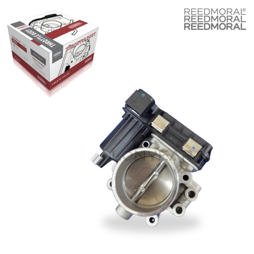 J1376 REEDMORAL Electronic Throttle Body Assembly 1025200GD150 main view