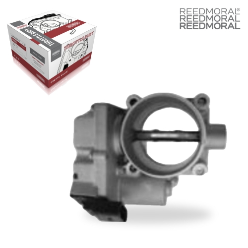 J1396 REEDMORAL Electronic Throttle Body Assembly 96440416 4816305 96955300 A2c53321071 main view