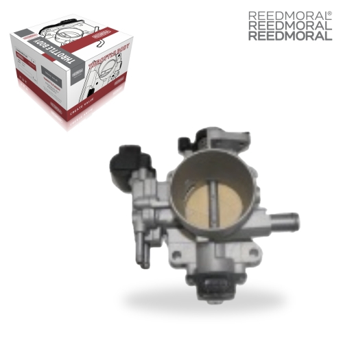 J1421 REEDMORAL Electronic Throttle Body Assembly 22210-0D110 main view