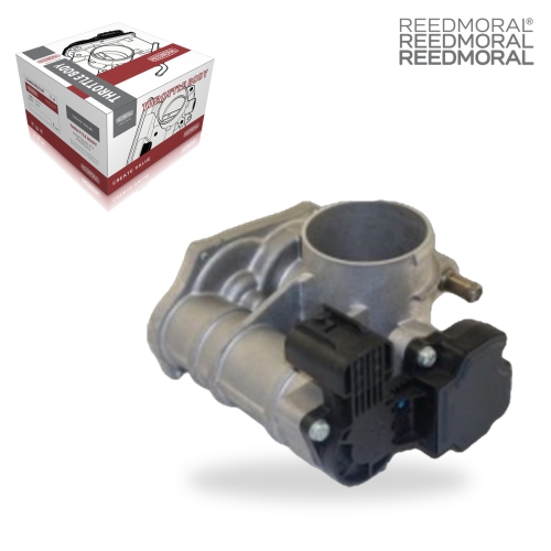 J1487 REEDMORAL Electronic Throttle Body Assembly 25183237 main view