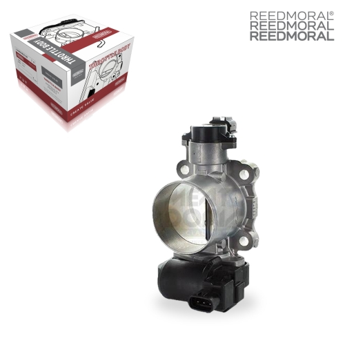 J1621 REEDMORAL Electronic Throttle Body Assembly 26100-30070 main view