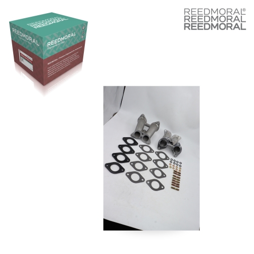 JQG002 REEDMORAL Carburetor Repair Kit Solex 40 PII-4 product angle 2