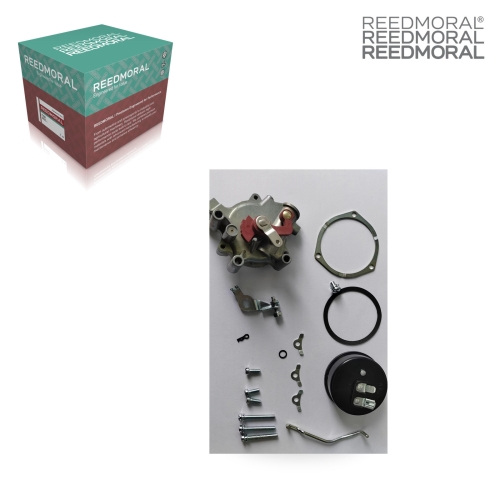 JRQ012 REEDMORAL Carburetor Repair Kit 45-223 main view