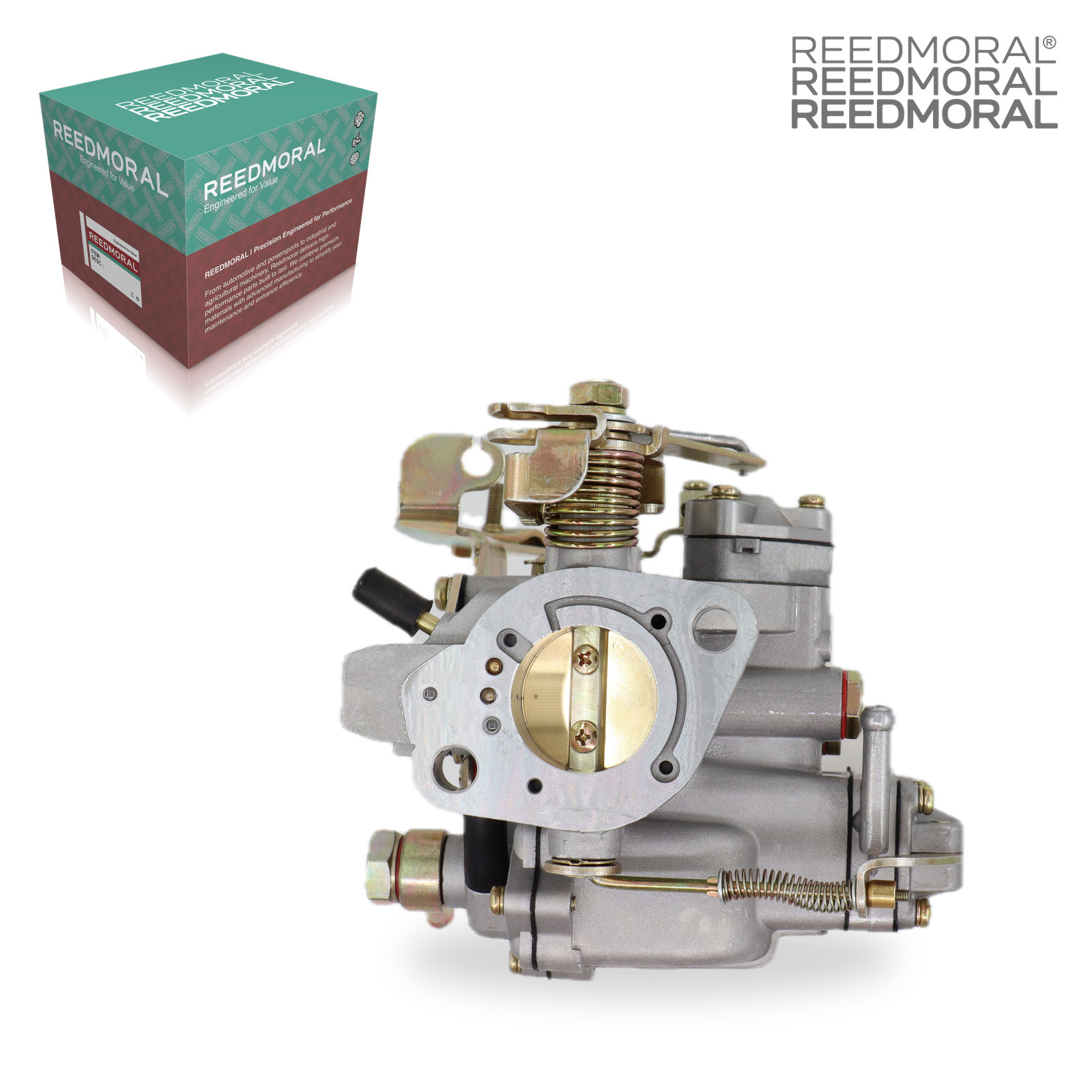 LDH107A REEDMORAL Carburetor Assembly LDH107A detail view 3