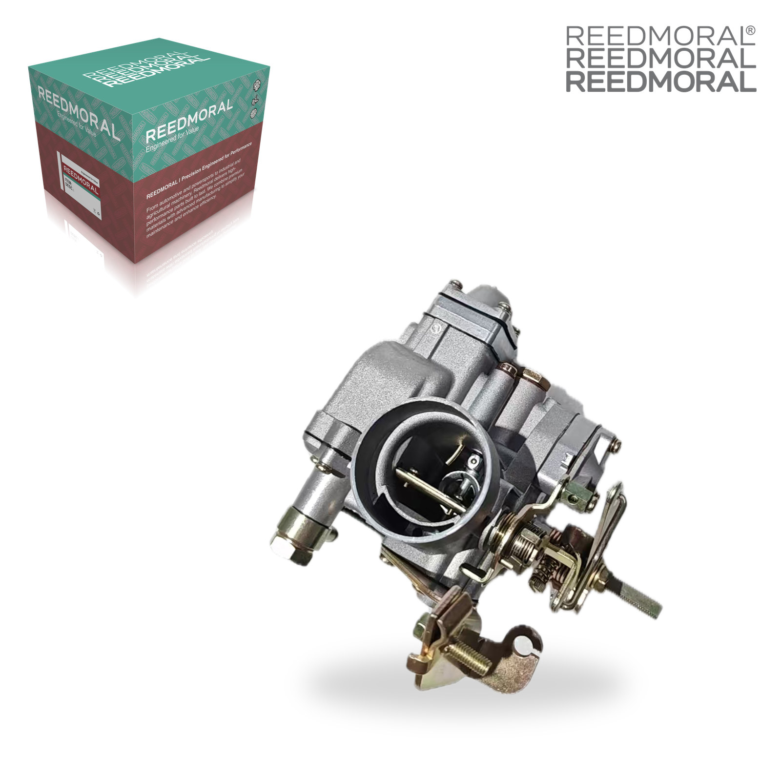 LDH107B REEDMORAL Carburetor Assembly LDH107B detail view 3