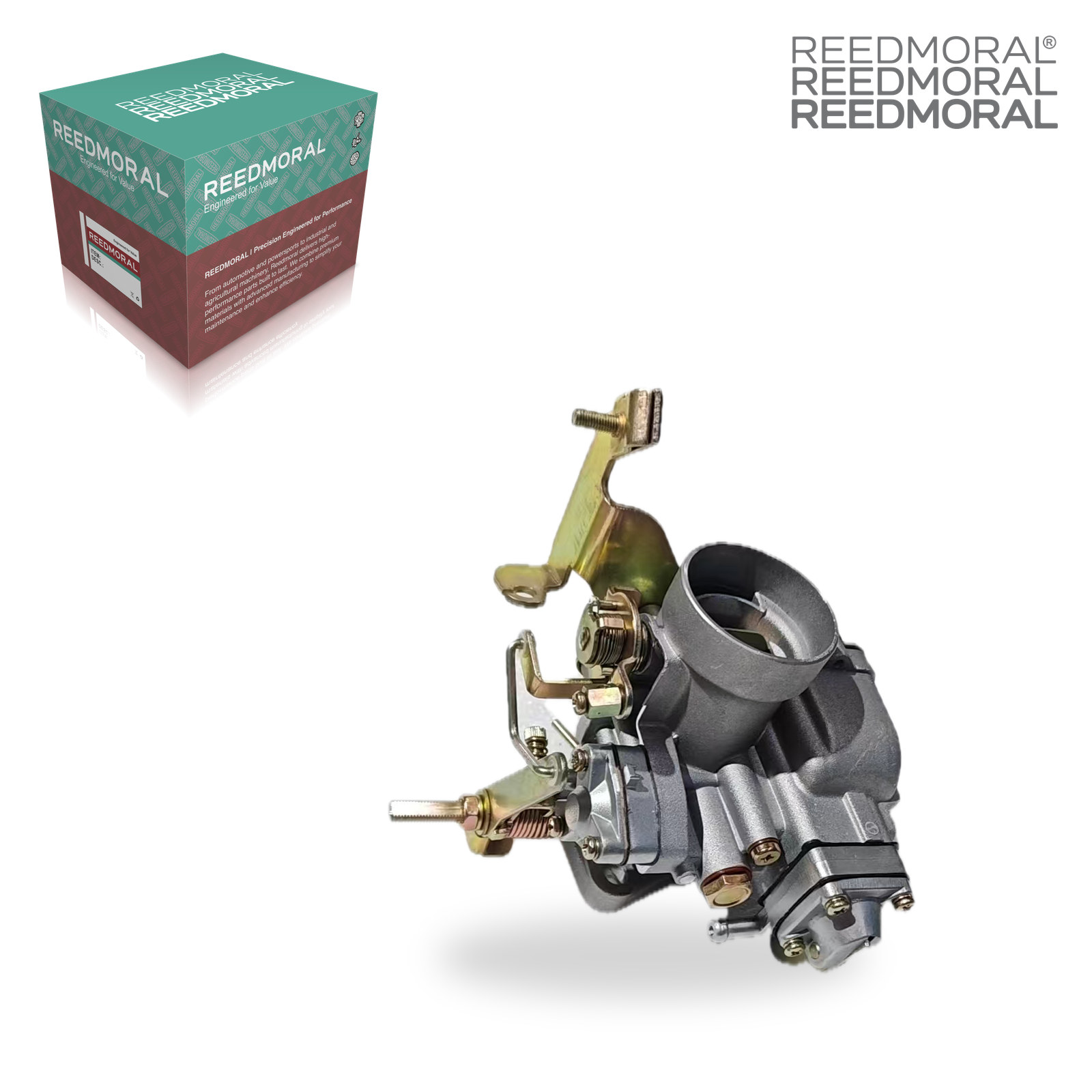 LDH107B REEDMORAL Carburetor Assembly LDH107B detail view 5