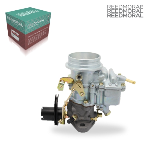LDH125 REEDMORAL Carburetor Assembly 228.028.02 product angle 1