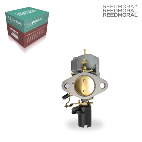 LDH125 REEDMORAL Carburetor Assembly 228.028.02 product angle 2