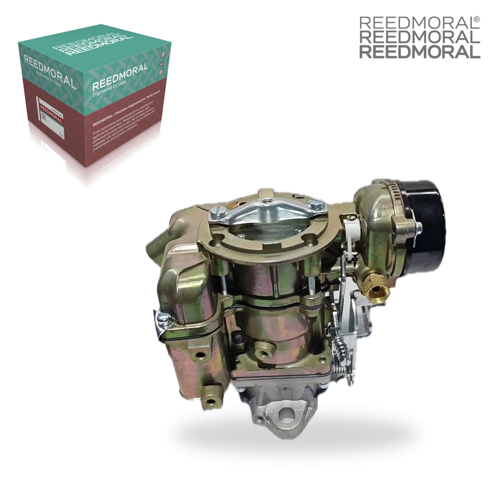LDH152X REEDMORAL Carburetor Assembly D5TZ9510AG detail view 4