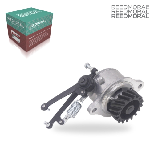 LDH161 REEDMORAL Carburetor Assembly 8N18204B product angle 1