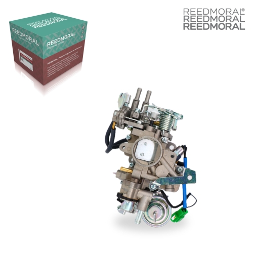 LDH165 REEDMORAL Carburetor Assembly 21100-87295 main view