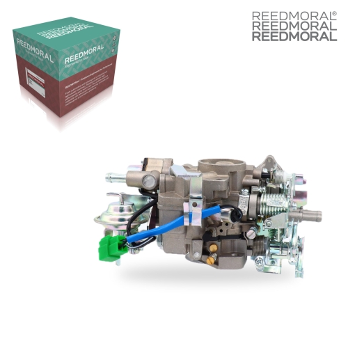 LDH165 REEDMORAL Carburetor Assembly 21100-87295 detail view 2