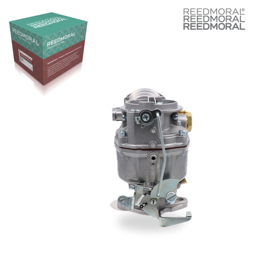 LDH166C REEDMORAL Carburetor Assembly LDH166C detail view 2
