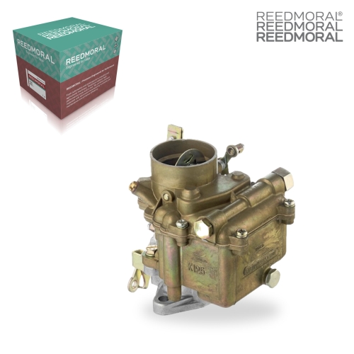 LDH197 REEDMORAL Carburetor Assembly К125Л-1107010 main view