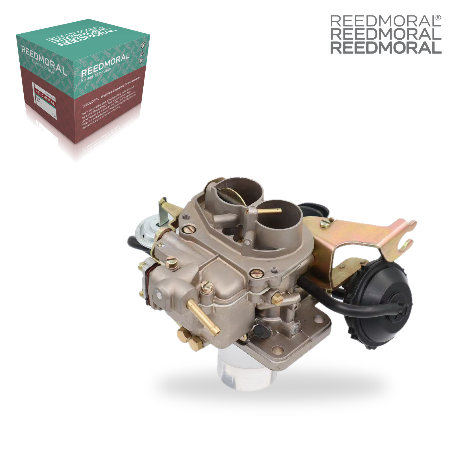 LDH205A REEDMORAL Carburetor Assembly 450.351.02 product angle 7