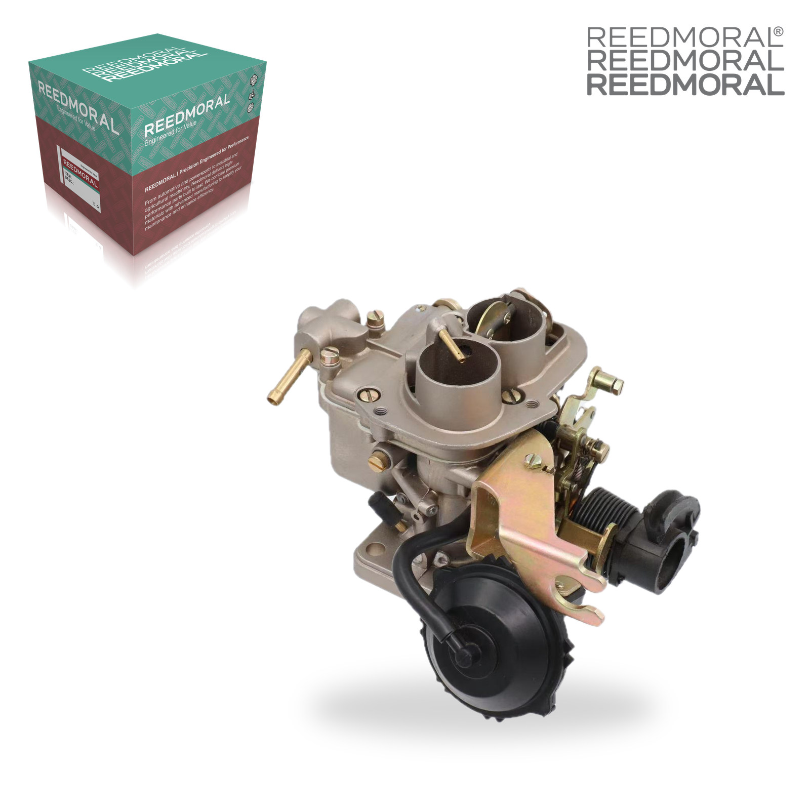LDH205A REEDMORAL Carburetor Assembly 450.351.02 product angle 8