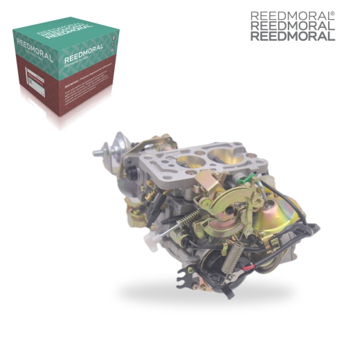 LDH208C REEDMORAL Carburetor Assembly 21100-75020/1 product angle 2