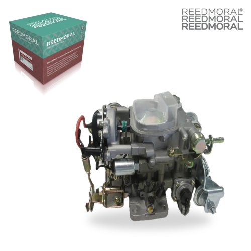 LDH208E REEDMORAL Carburetor Assembly 21100-75060 main view