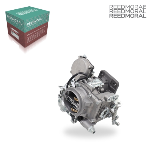 LDH210A REEDMORAL Carburetor Assembly 21100-31225 product angle 2